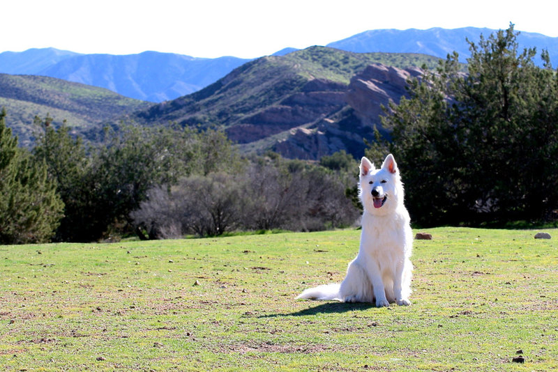Kaia_Dances with Wolves Ranch81