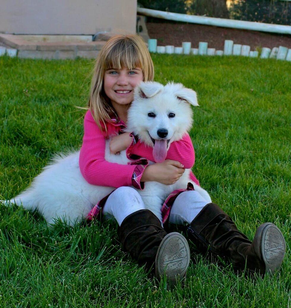 Berger Blanc Suisse with little girl in grass