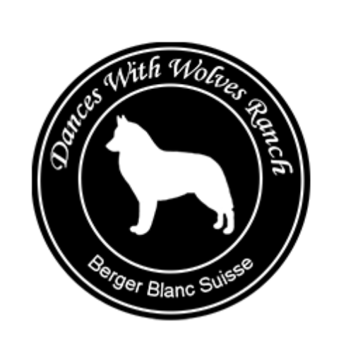 Dances with Wolves Ranch logo